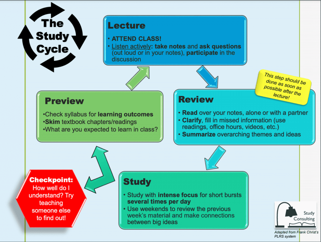 visual representation of study cycle steps